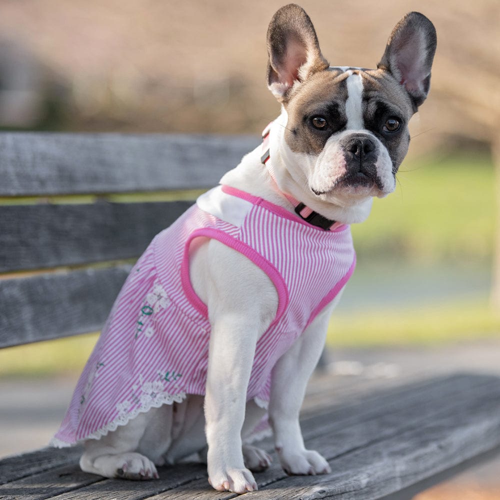 Blueberry Pet Wonderland Sleeveless Floral Dog Dress with Peter Pan Collar, Pink, Medium