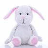 Dog Toy Blueberry Pet 6
