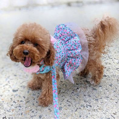 blue dress for baby girl Pink Tulle Dress for Dogs | Elegant Princess Style main image 1
