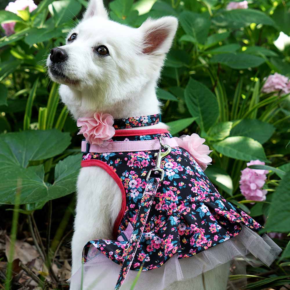 Blueberry Pet Made Well Floral Print Dog Dress Harness with Felt Flower Accessory in Lavender Color Size Small