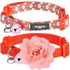 Cat Collar Blueberry Pet The Floral Power of All in One Cat Collar, 2 Pack Perfect Orange / 9
