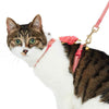 Cat Collar Blueberry Pet Diagonal Striped Cat Leash & Harness Set Pink / One Size