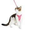 Cat Collar Blueberry Pet Reflective Cat Harness & Leash Set with Bell