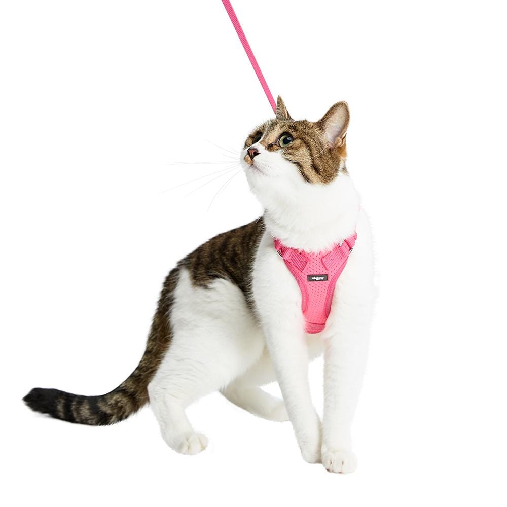 Blueberry Pet Reflective Cat Harness & Leash Set with Bell