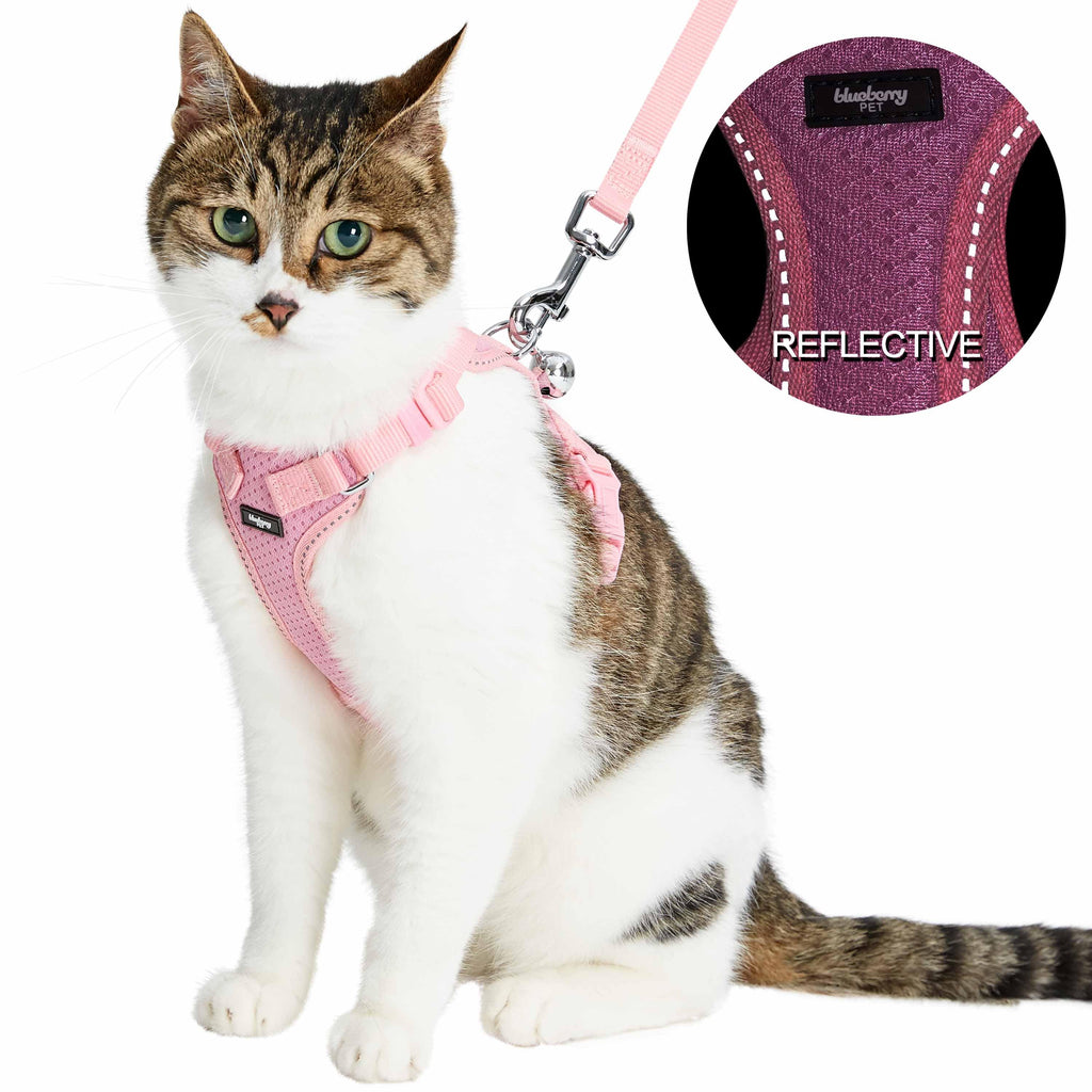 Harness Collar Rainbow Cat Harness Cat Leash And Harness BINGPET