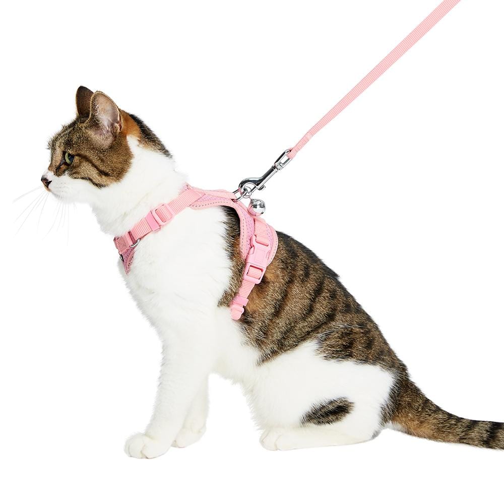 Collar And Leash Garden Grove Ca Cat Collar And Leash Pets At Home