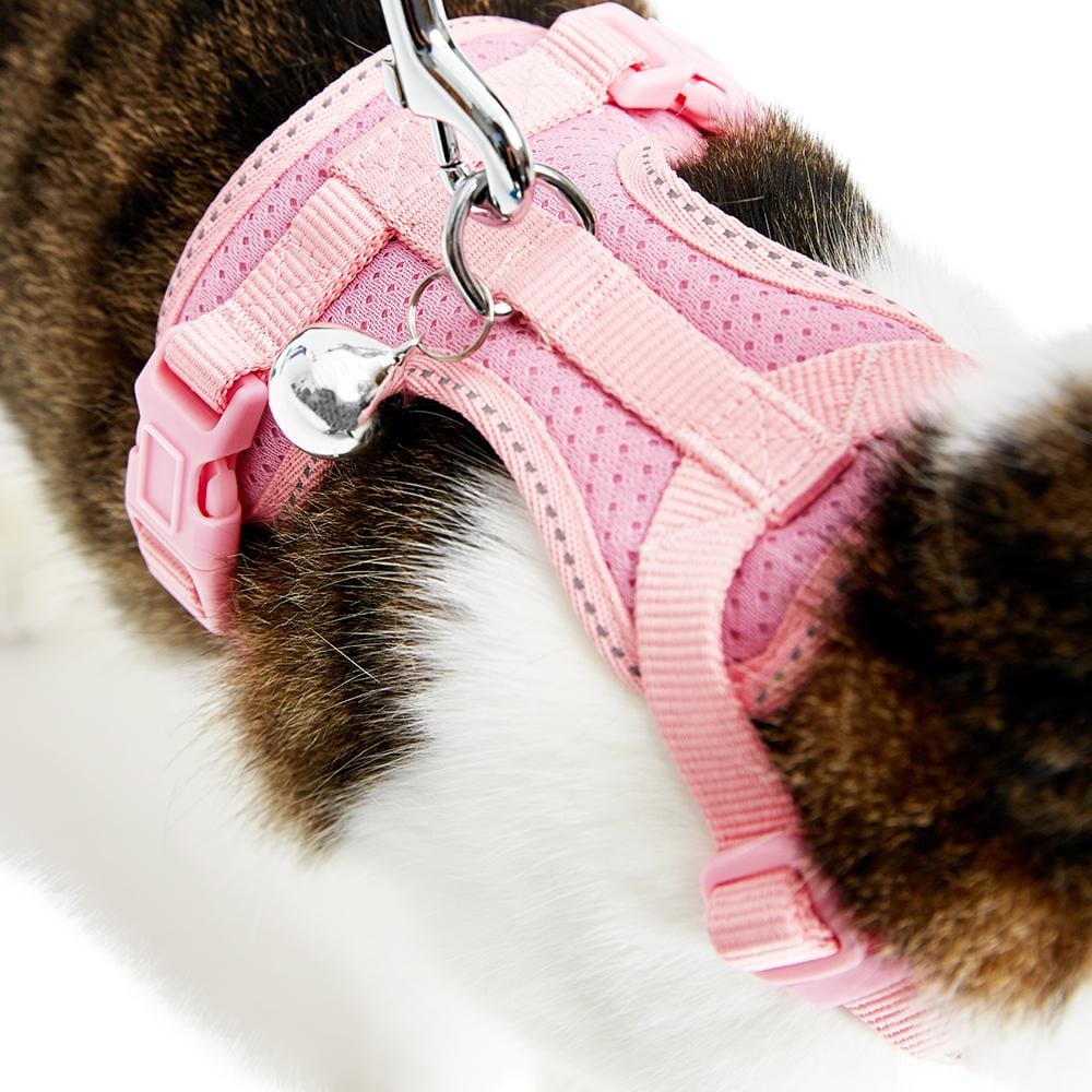 Dog Harnesses, Dog Collars, Cat Harnesses
