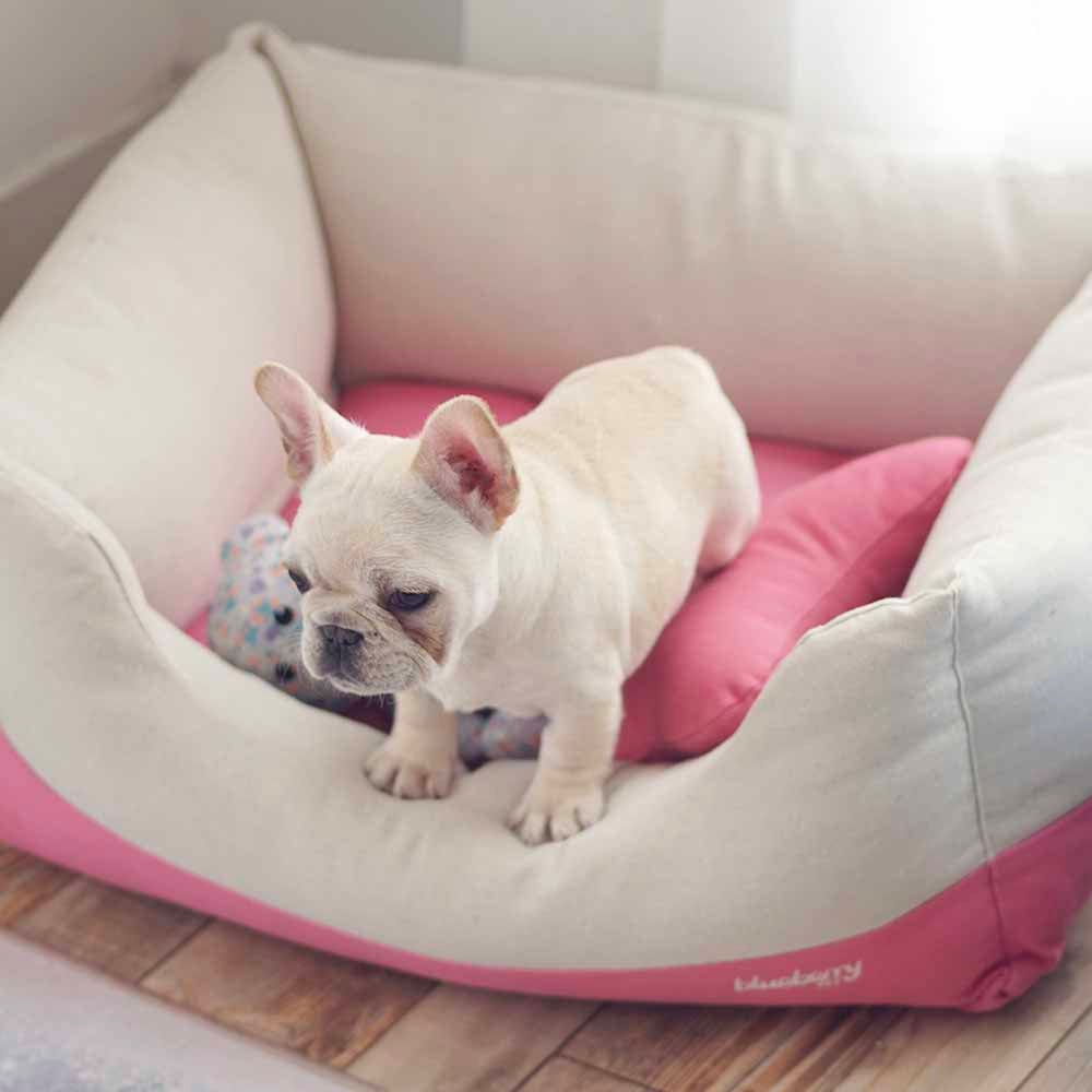 Blueberry Pet Heavy Duty Pet Bed or Bed Cover, Removable & Washable Cover w/YKK Zippers, Shop A Whole Bed with Cover for Change