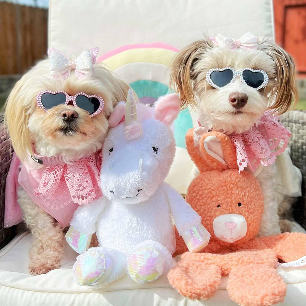 Toy puppy discount collars