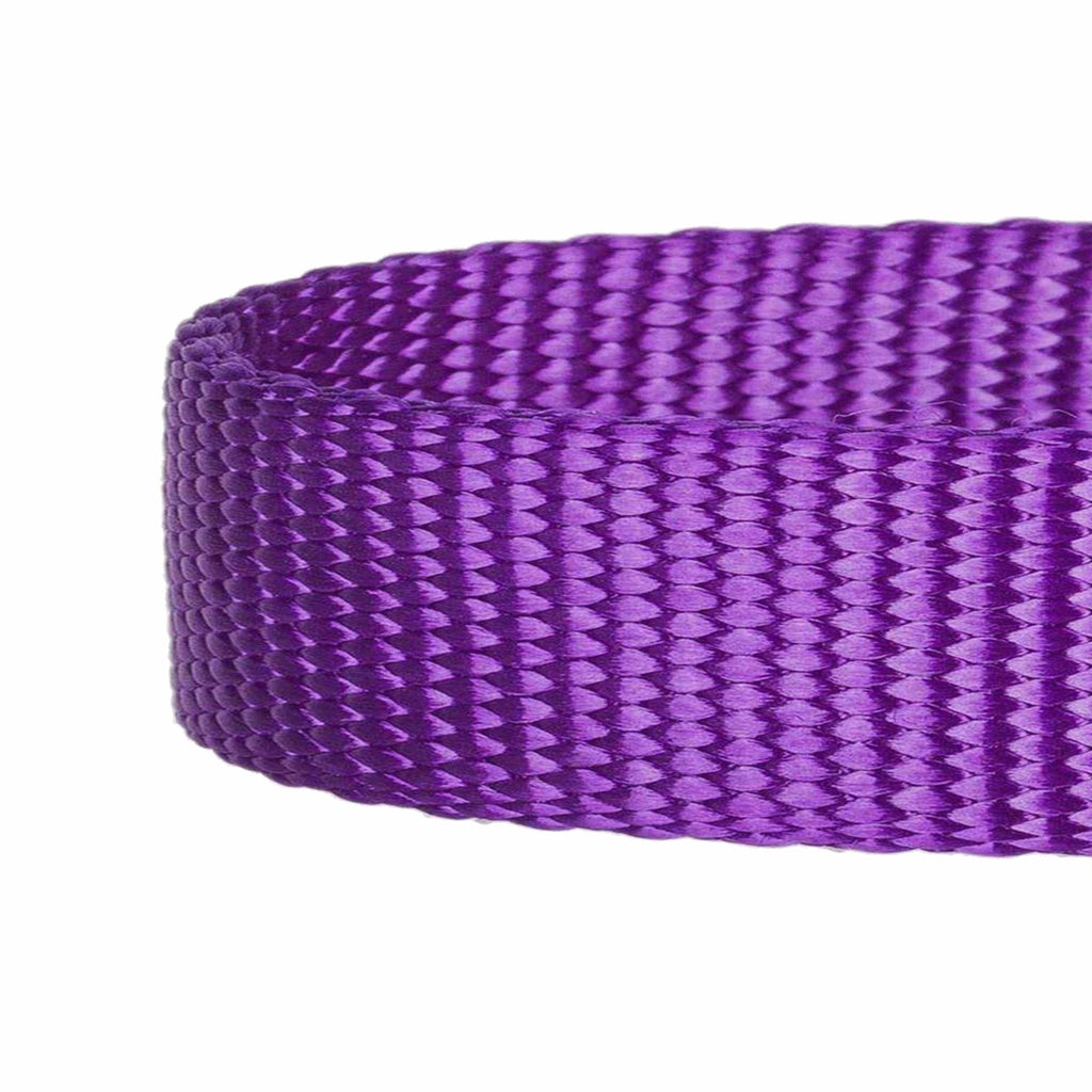 1 Inch Purple Nylon Webbing - Medium Weight Nylon