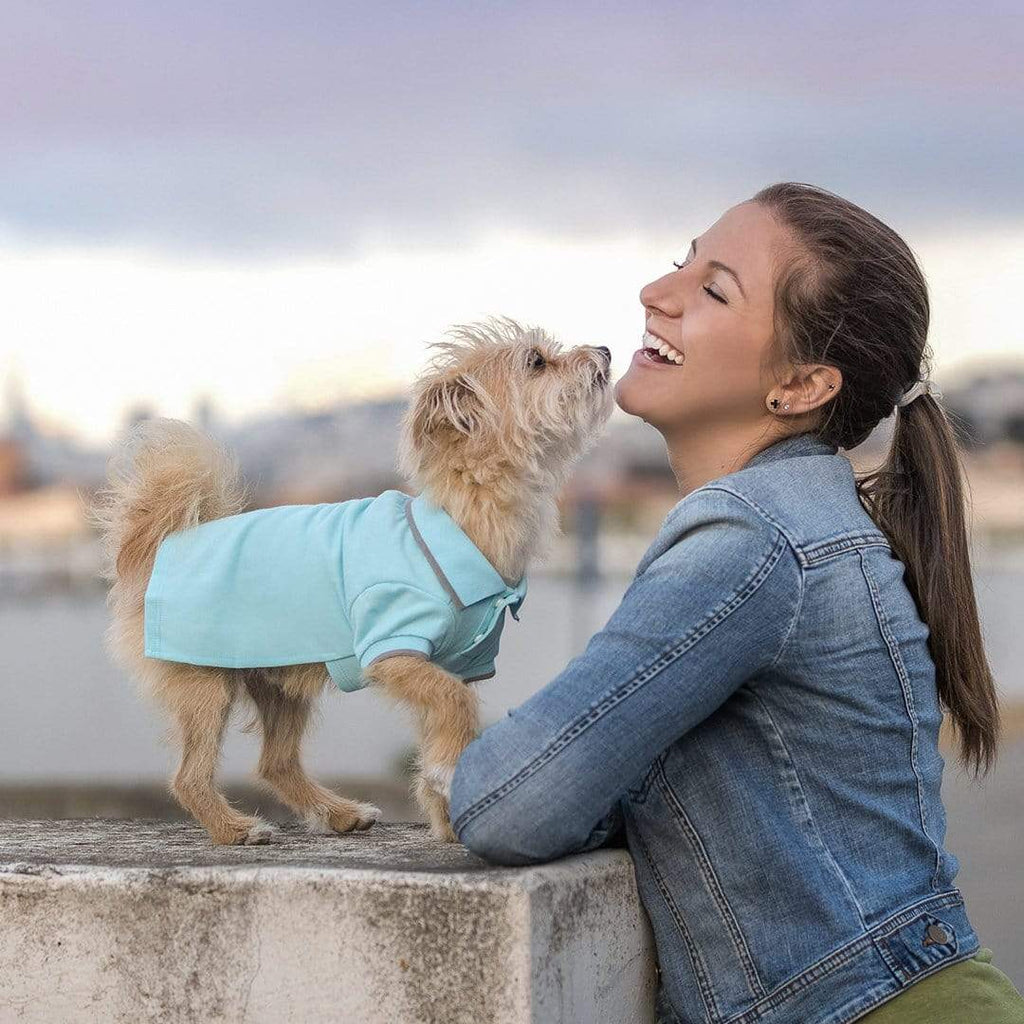 Blue dog shirt clearance