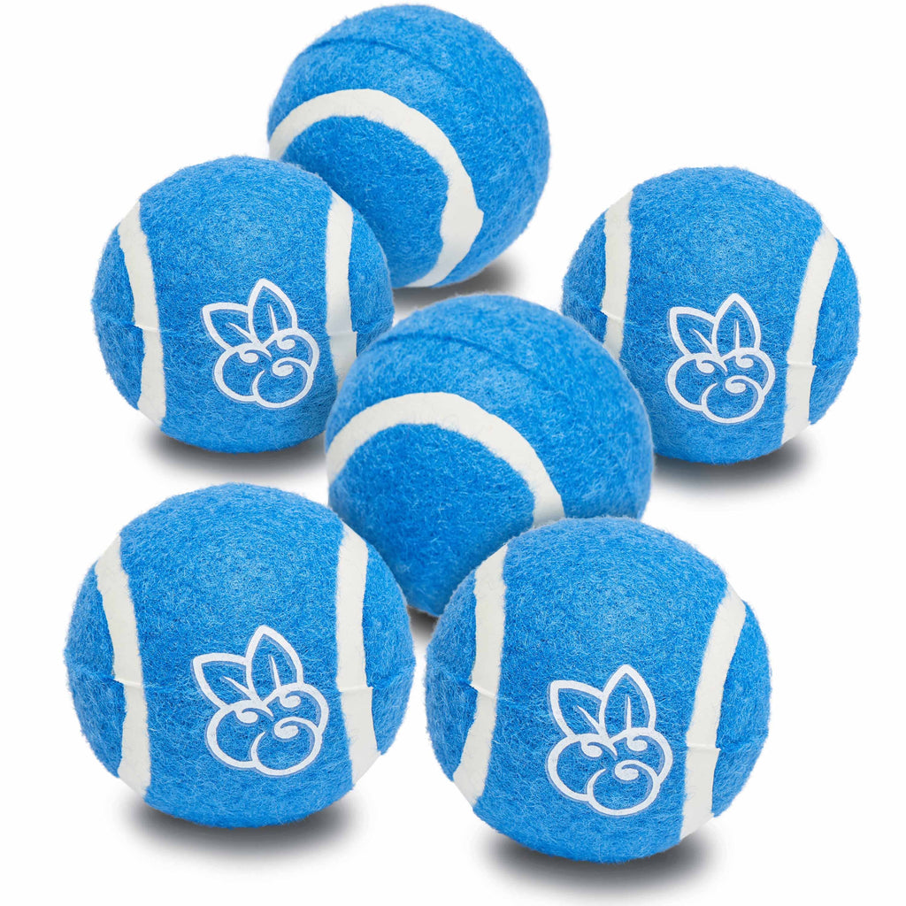 Dog Toy Blueberry Pet 6pc Pack 2.5" Tennis Balls Dog Toy in Blue Blue
