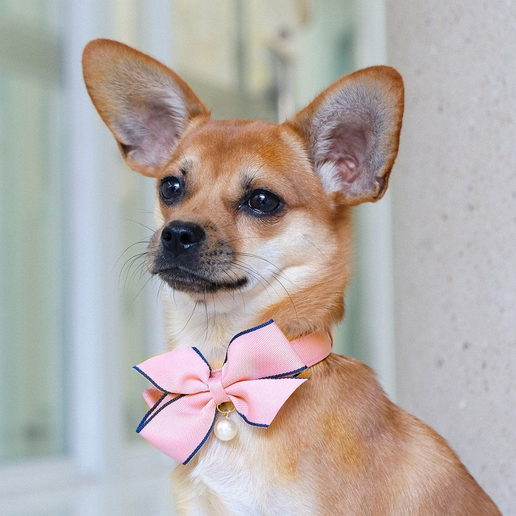 Pink Bows For Dogs, Pink Dog Bows