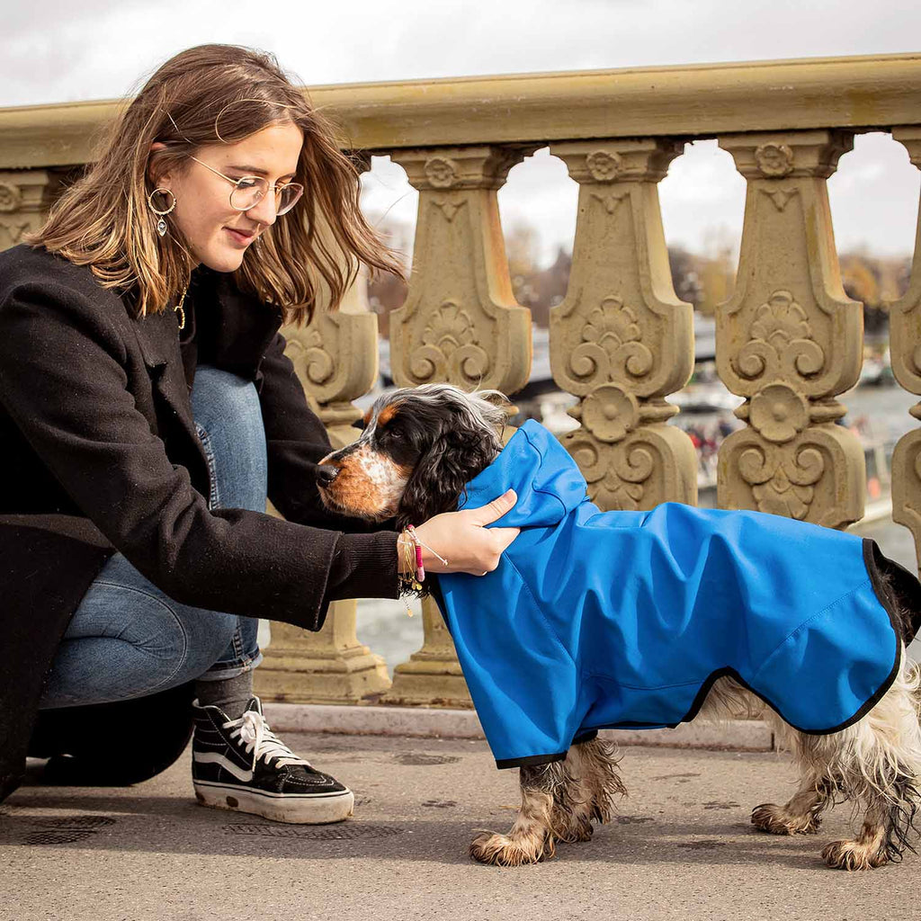 Waterproof Dog Softshell Jacket, Hooded Raincoat and Windbreakers –  Blueberry Pet