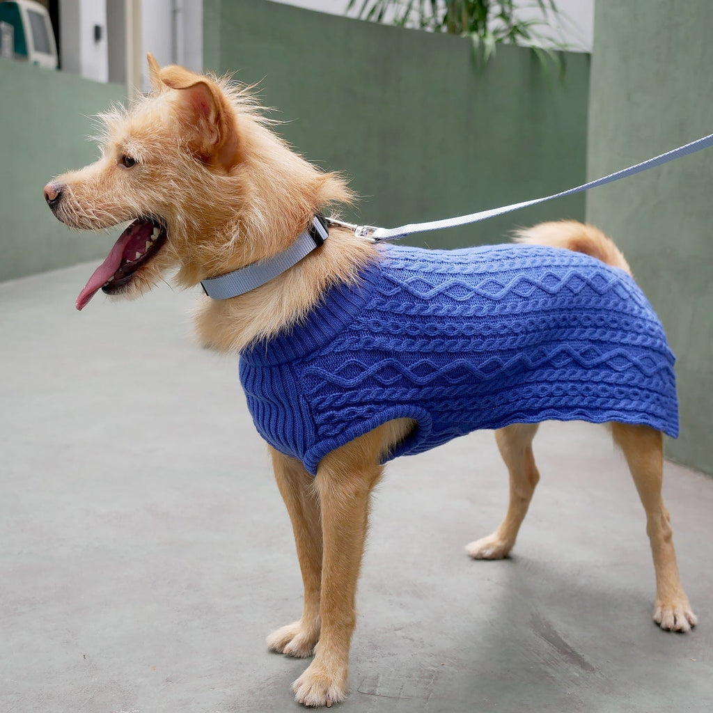 Fuzzy Textured Knit Dog Sweater, Turtle-neck, Blueberry Pet