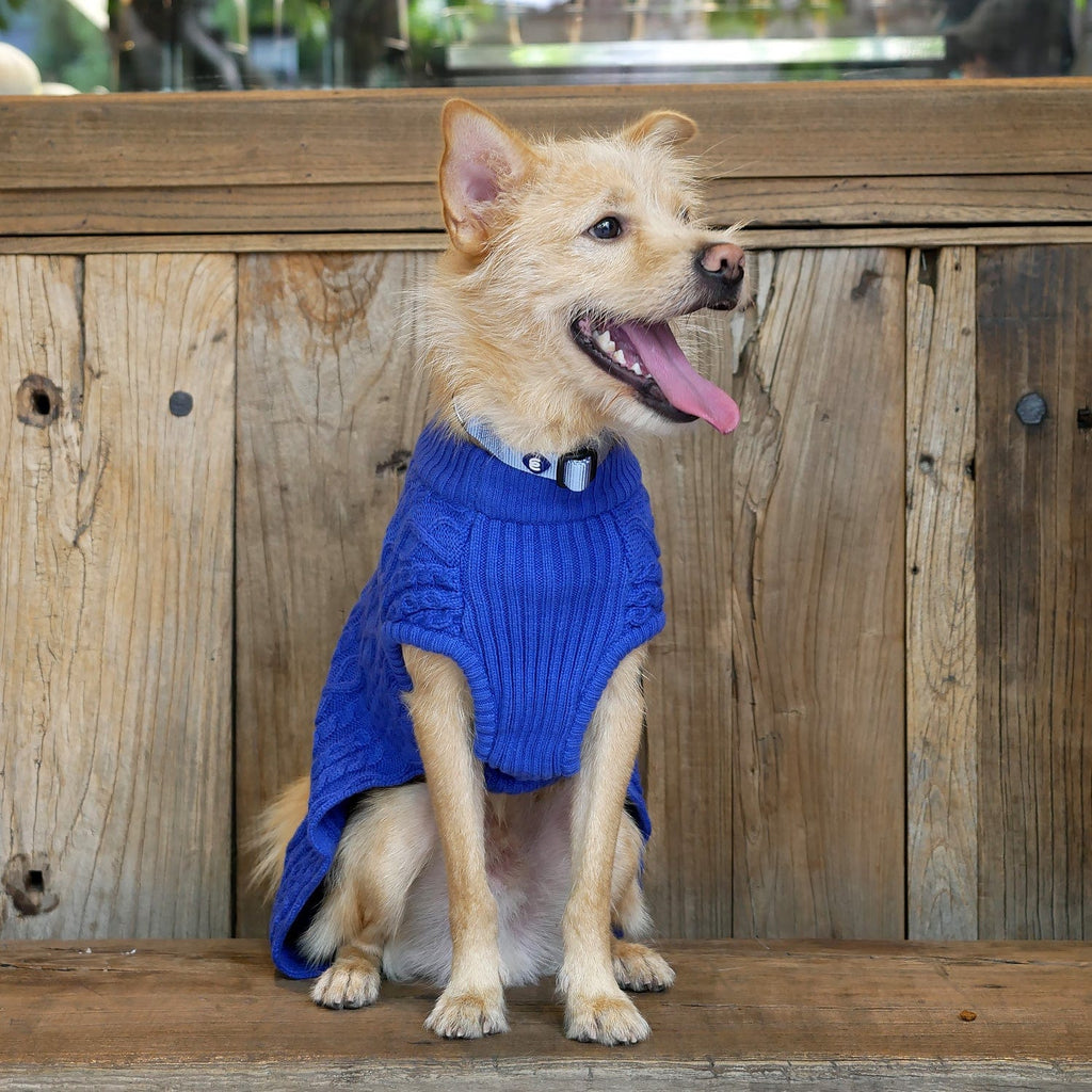 Pet Life Harmonious Dual Color Weaved Heavy Cable Knitted Fashion Designer Dog Sweater